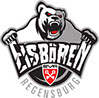 logo eisbaeren